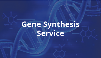 Gene Synthesis Service