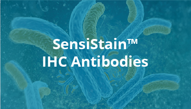 SensiStain™ IHC Antibodies for Pathology