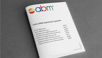 Lenti-siRNA Expression Systems