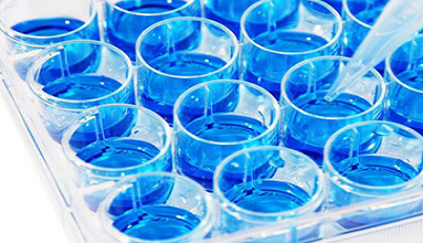 ELISA Reagents