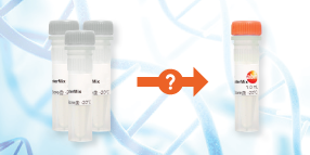 Lenti-siRNA Expression Systems