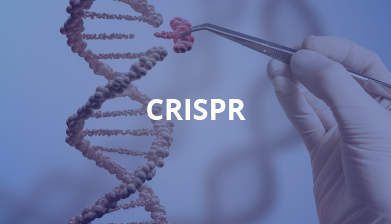 CRISPR