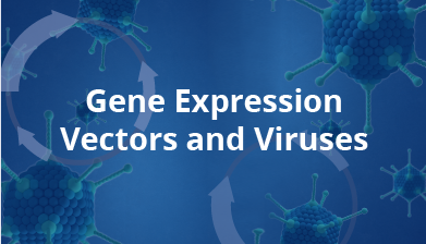 Gene Expression Vectors and Viruses