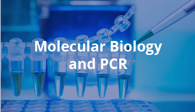 Molecular Biology and PCR