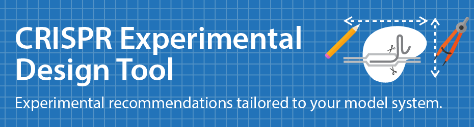 CRISPR Experimental Design Tool