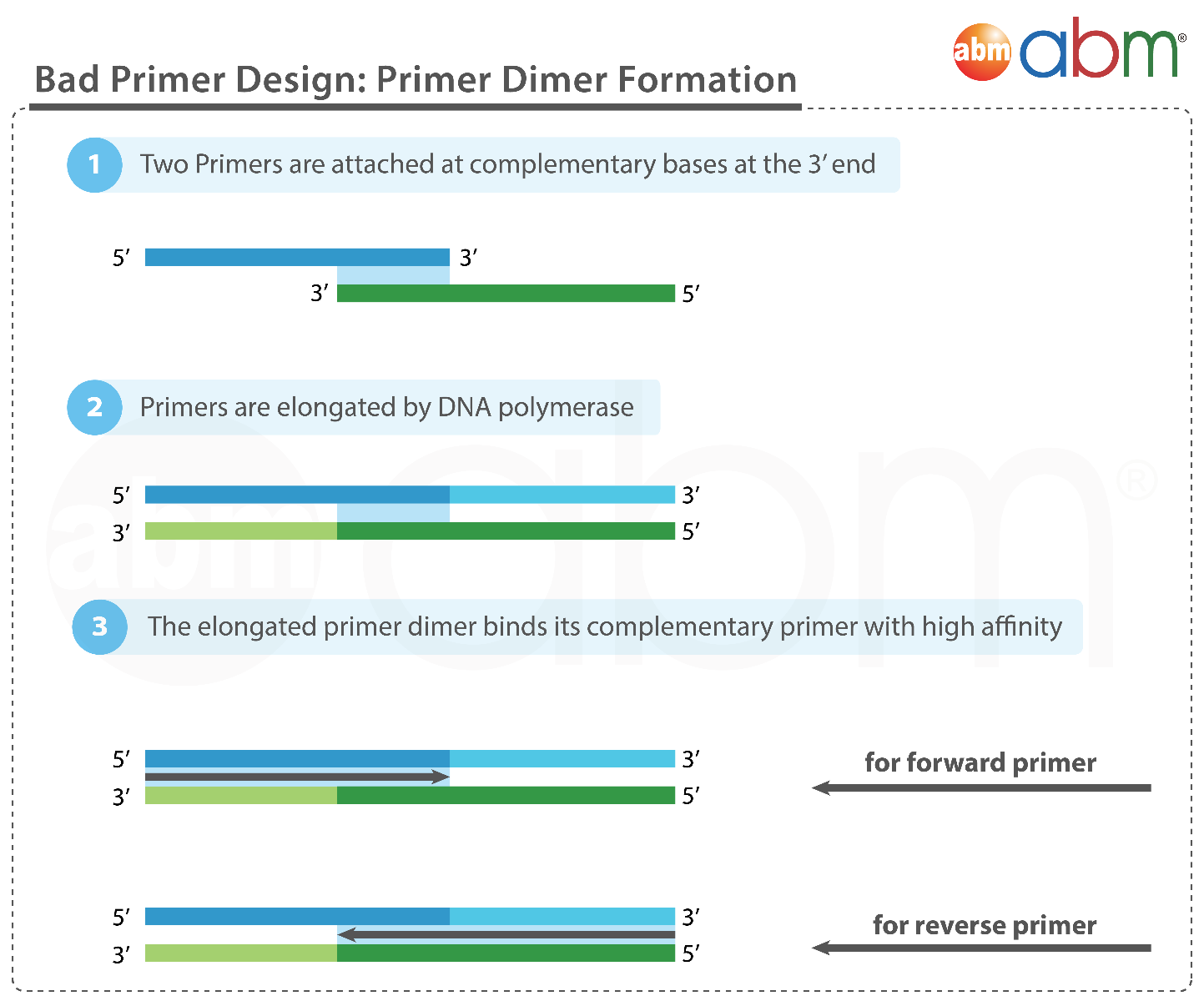 Bad Primer Design