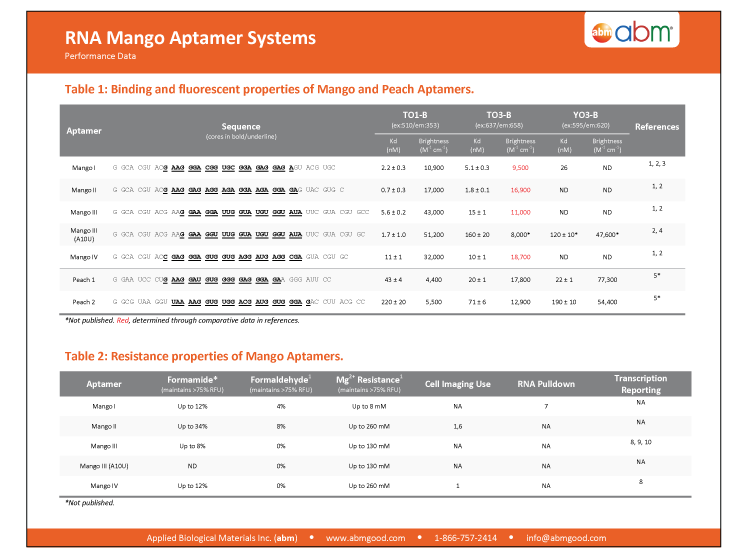 RNA Mango Binding, Fluorescence, and Resistance Properties