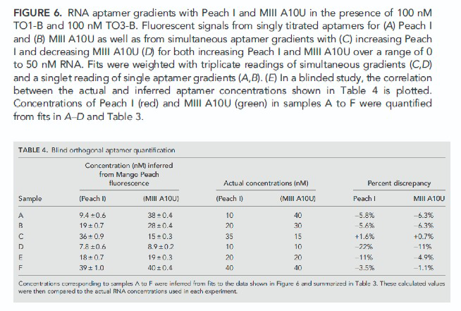 TO1 and TO3 dyes can be used in a 2-color reporter assay system using both the RNA Mango and RNA Peach systems