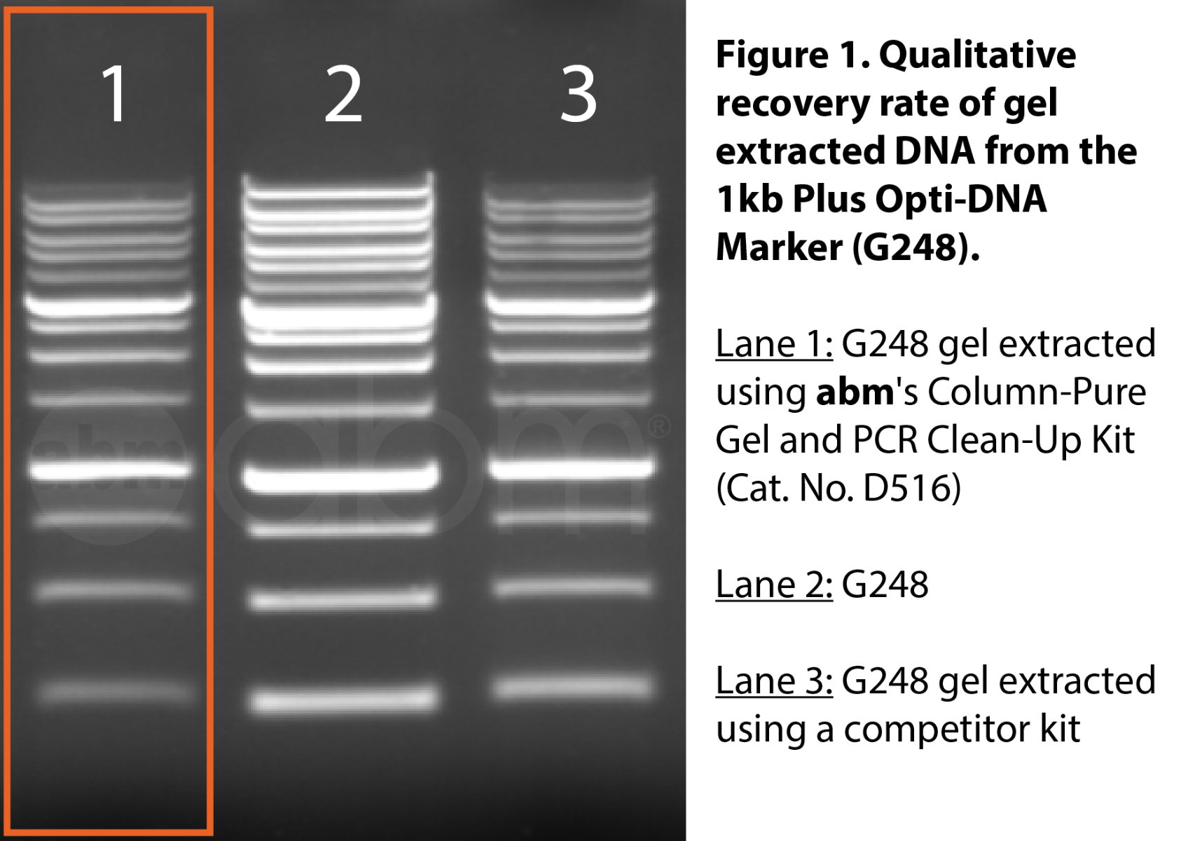 Column Pure Gel And Pcr Clean Up Kit Applied Biological Materials Inc